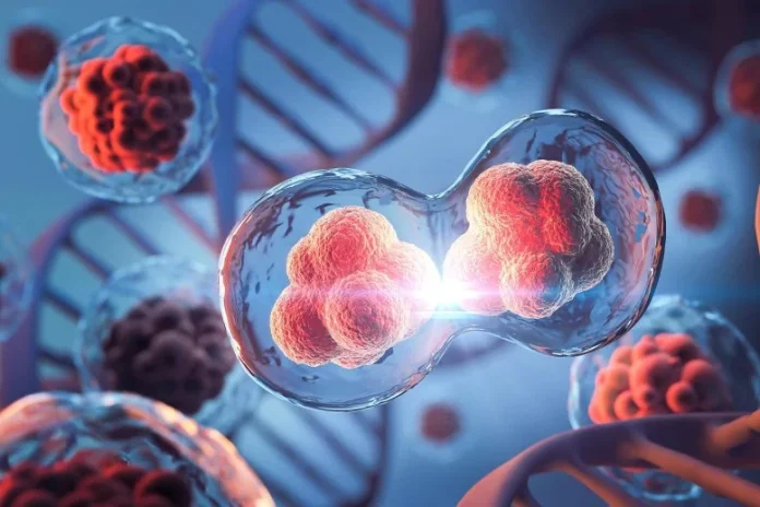 Τα σχολικά βιβλία προκλήθηκαν: Οι επιστήμονες ανακαλύπτουν νέο μηχανισμό κυτταρικής διαίρεσης