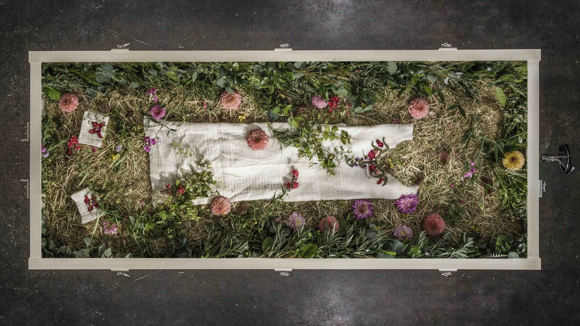 Μια φωτογραφία από πάνω από ένα ανθρώπινο δοχείο κομποστοποίησης, που μοιάζει με ένα μακρύ, ορθογώνιο κουτί ζαρντινιέρας με ένα ελαφρύ ξύλινο πλαίσιο. Το εσωτερικό περιέχει ένα στρώμα από άχυρο, ροκανίδια και οργανικό υλικό, με πολύχρωμα ροζ και μοβ λουλούδια διάσπαρτα παντού. Μια λευκή φόρμα τυλιγμένη με ύφασμα στηρίζεται στο κέντρο.