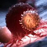 Σοκάρουν οι επιστήμονες: Αυτή η πρωτεΐνη μπορεί να σταματήσει την ανάπτυξη του καρκίνου!