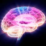 Οι επιστήμονες βρήκαν έναν τρόπο να βοηθήσουν τον εγκέφαλο να ανακάμψει από το Αλτσχάιμερ