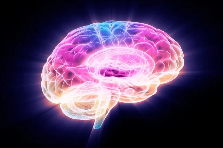 Οι επιστήμονες βρήκαν έναν τρόπο να βοηθήσουν τον εγκέφαλο να ανακάμψει από το Αλτσχάιμερ