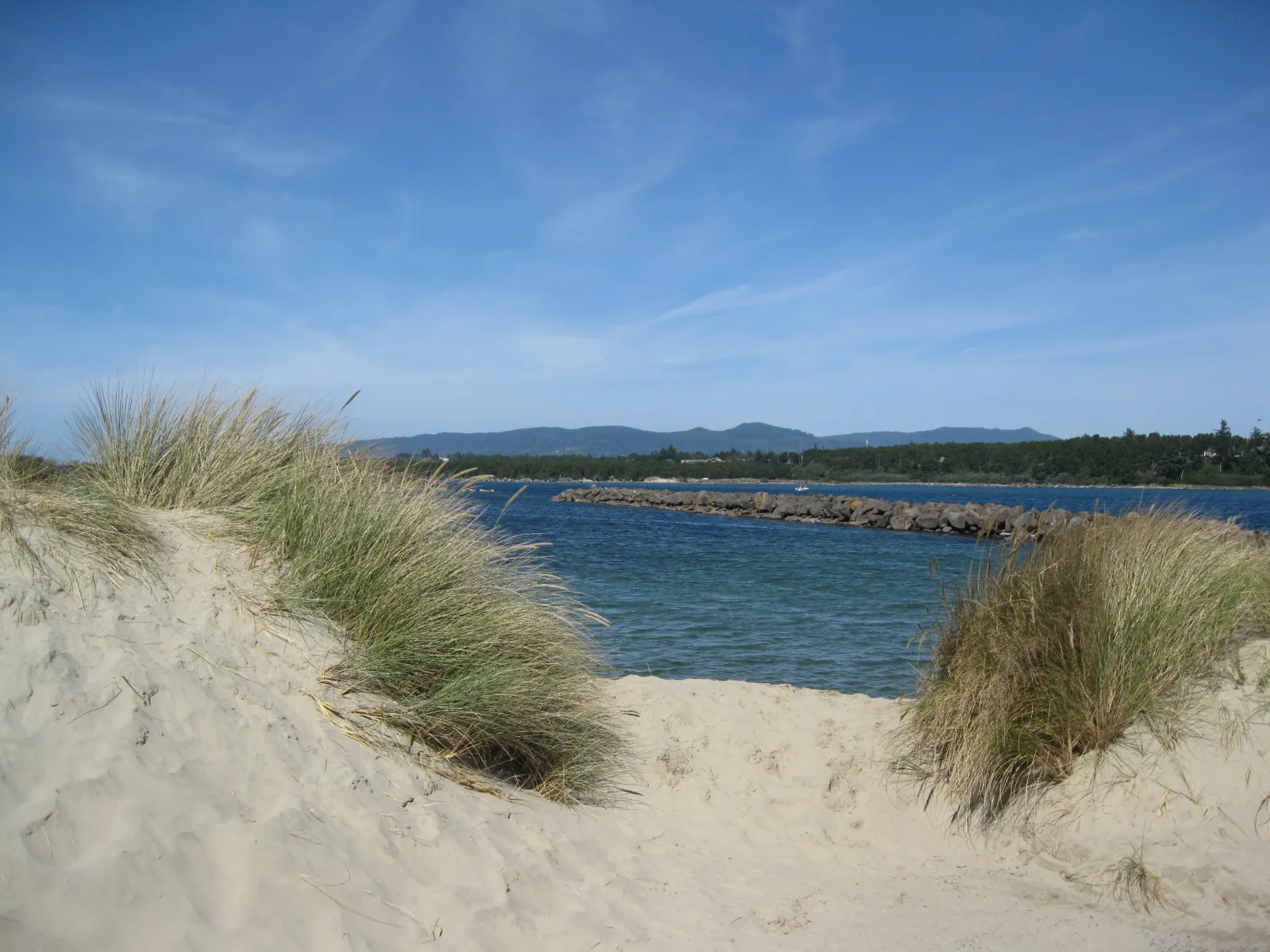 Μια γραφική, ευρυγώνια φωτογραφία τοπίου με αμμόλοφους στην Εθνική περιοχή αναψυχής Oregon Dunes. Το πρώτο πλάνο διαθέτει αμμόλοφους που ολοκληρώνονται με σμήνη από πράσινο γρασίδι παραλίας. Στη μέση του εδάφους, ένας ήρεμος γαλάζιος ποταμός χωρίζεται από μια μεγάλη, ευθεία προβλήτα βράχου. Το φόντο δείχνει μια πυκνή πράσινη δασική γραμμή και κυματιστούς γαλαζογκρίζους λόφους κάτω από έναν καθαρό, λαμπερό μπλε ουρανό με ελαφριά, μυρωδάτα σύννεφα.