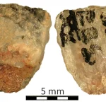 Ανακαλύφθηκε το παλαιότερο βέλος με δηλητηριώδη μύτη στον κόσμο στη Νότια Αφρική