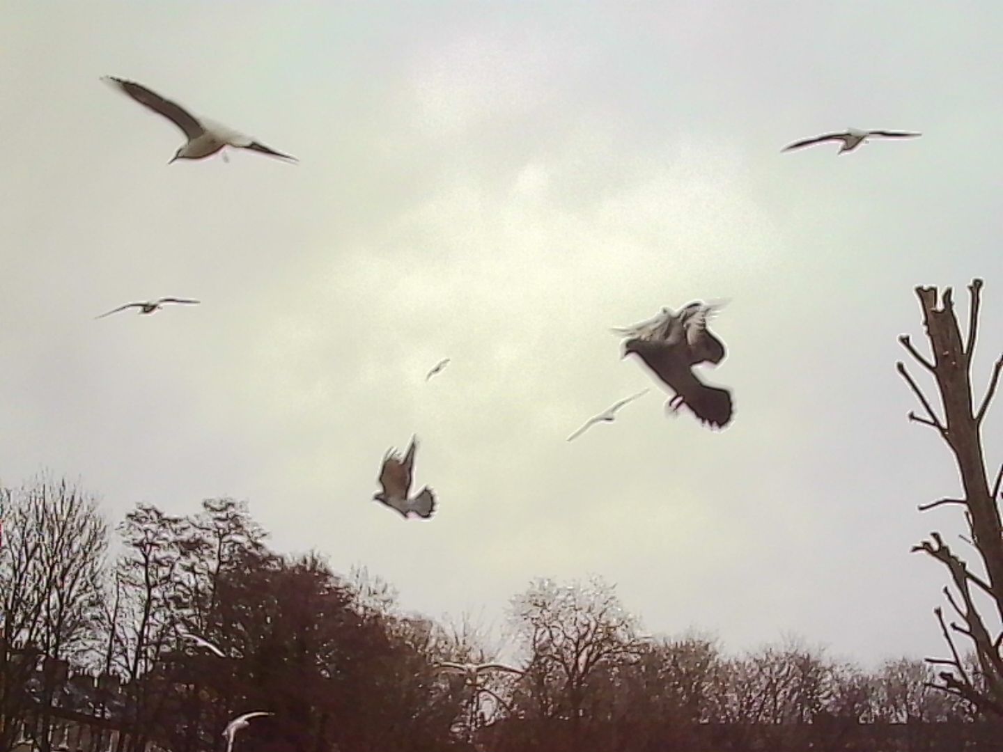 Μια φωτογραφία τραβηγμένη σε μια κάμερα με μπρελόκ της Kodak Charmera