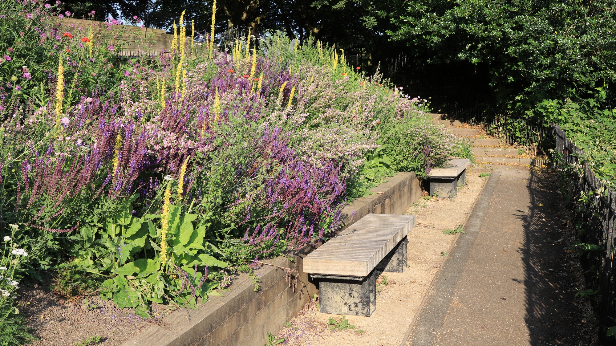 Δείγμα εικόνας Canon EOS R100