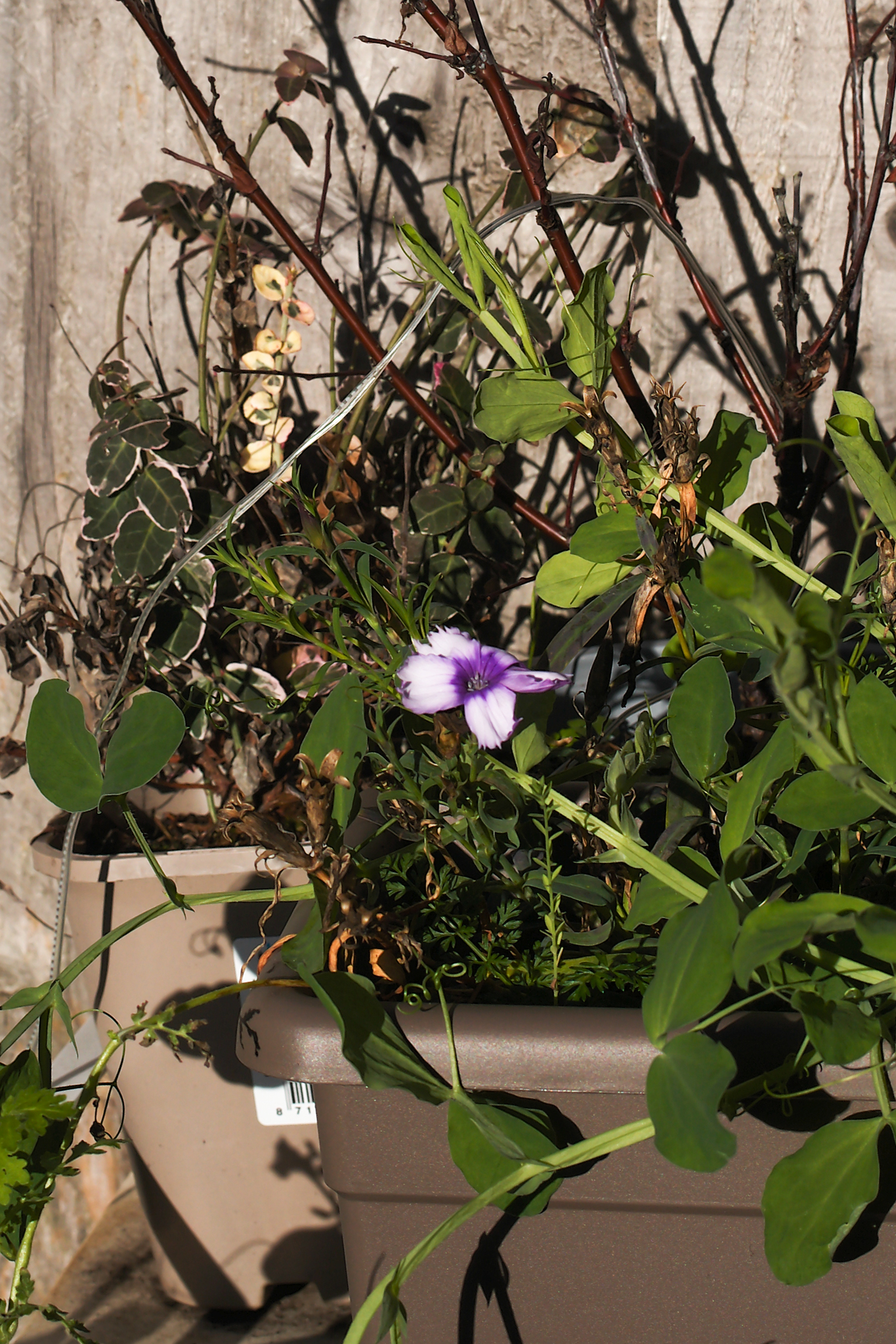 A photo taken on a Leica M EV1 rangefinder-style camera