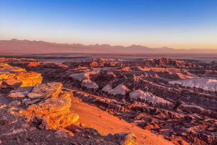 Η κρυφή ζωή στην πιο ξηρή έρημο του κόσμου αψηφά κάθε προσδοκία