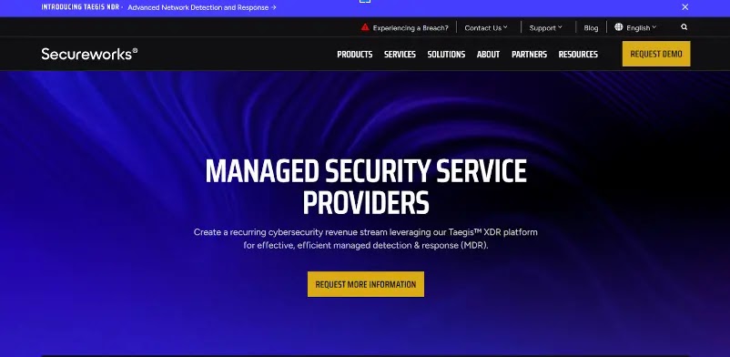 Best Managed Service Providers