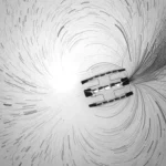 Μικροσκοπικά ρομπότ που κολυμπούν σκέφτονται και ενεργούν μόνα τους