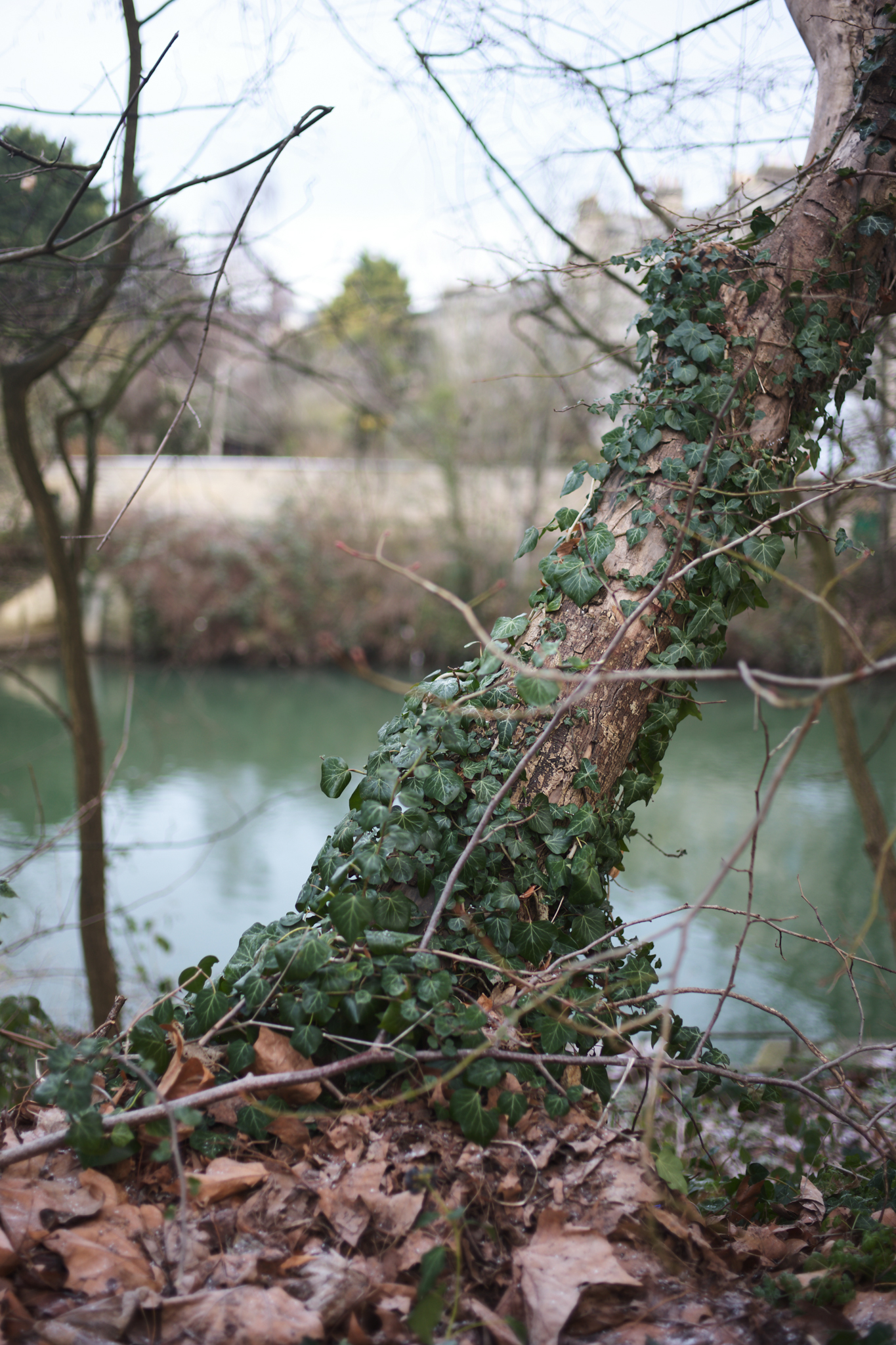 A photo taken on a Leica M EV1 camera