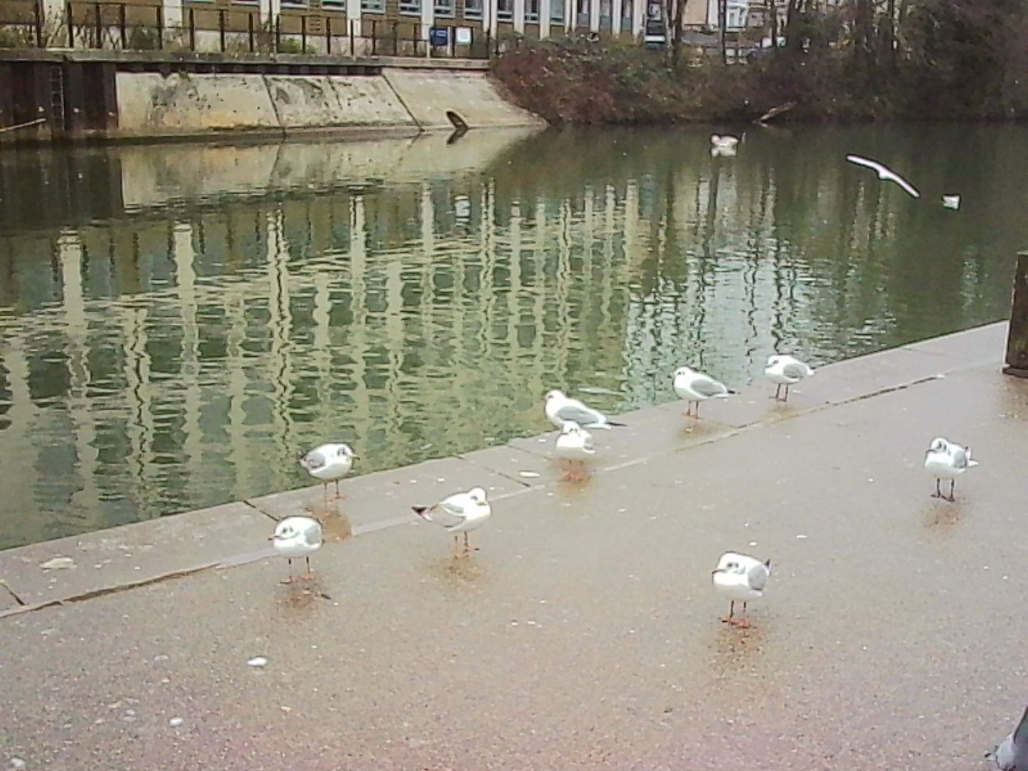 Μια φωτογραφία τραβηγμένη σε μια κάμερα με μπρελόκ της Kodak Charmera