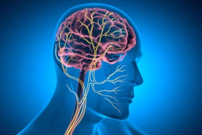 Ασθενείς που κάποτε «παραλύθηκαν από τη ζωή» δείχνουν διαρκή ανάρρωση με εμφυτευμένη θεραπεία νεύρων