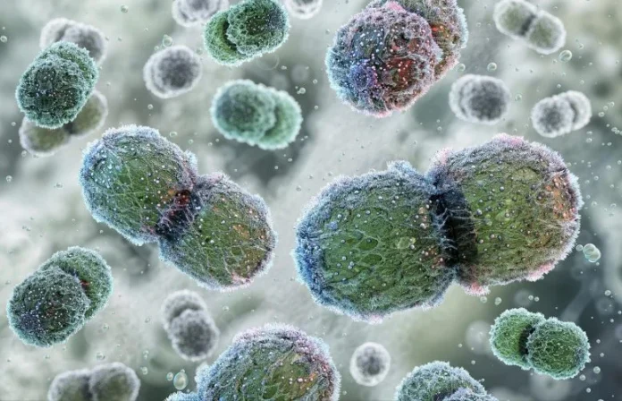 Γιατί τα αντιβιοτικά δεν είναι αρκετά για μερικές χρόνιες πληγές