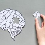 «Ανατροπή στο Πεδίο της Ιατρικής: Νέα Μελέτη Αποκαλύπτει ότι η Νόσος Μπορεί να Αντιστραφεί – Τουλάχιστον για τα Ζώα!»