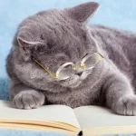 Μπορούν τα ζώα να διαβάσουν; Όχι με τον ανθρώπινο τρόπο.