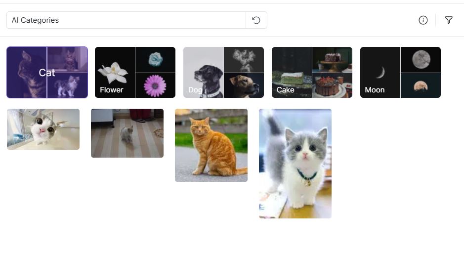 Zettlab D4 Review — A Convenient Budget AI NAS For Photographers And Content Creators An AI categorization interface showing images of cats, flowers, dogs, cakes, and the moon, with a search bar labeled 'AI Categories'.