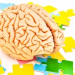 «Ανακαλύψτε το Μυστικό του Εγκεφάλου που Εξαφανίζει την Κούραση! Δοκιμάστε το ΤΩΡΑ!»