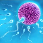 «Ανακαλύψτε τους Απίθανους Μύθους και τις Συναρπαστικές Αλήθειες για την Ανδρική Υπογονιμότητα!»