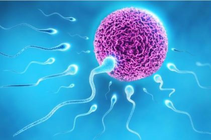 «Ανακαλύψτε τους Απίθανους Μύθους και τις Συναρπαστικές Αλήθειες για την Ανδρική Υπογονιμότητα!»