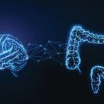 «Ανακαλύψτε το εκπληκτικό μυστικό των βακτηρίων του εντέρου που μπορεί να αλλάξει την ανθρώπινη νοημοσύνη!»