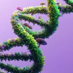 «Ανακαλύφθηκε ο Πρώτος 4D Χάρτης του Ανθρώπινου DNA – Μάθετε Πώς Αυτή η Επανάσταση Μπορεί να Αλλάξει τα Πάντα!»