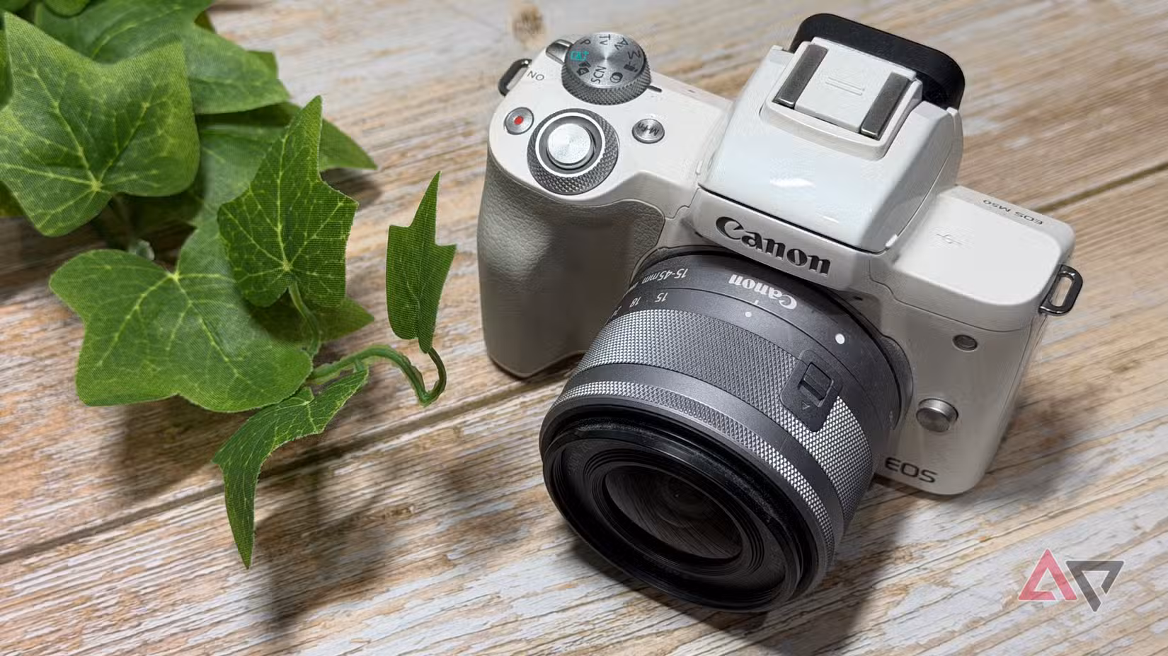 Canon M50 σε λευκό κάθεται δίπλα σε ένα φυτό