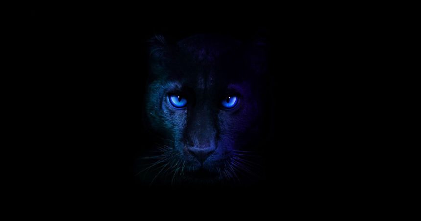 Ανακαλύψτε την Επανάσταση της Panther Lake: 2nm, Ρεκόρ Αυτονομίας και Απίστευτα Γραφικά!