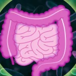 Ανακαλύψτε τα Καθημερινά Χημικά που Καταστρέφουν τα Υγιή Βακτήρια του Εντέρου σας!