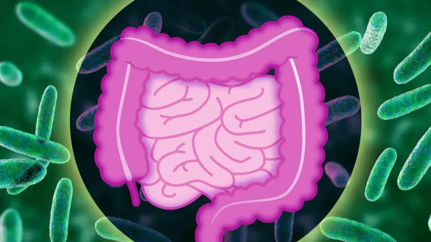 Ανακαλύψτε τα Καθημερινά Χημικά που Καταστρέφουν τα Υγιή Βακτήρια του Εντέρου σας!