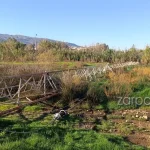 Άγνωστοι έριξαν την κεραία των Μεσαίων Κυμάτων της ΕΡΤ Χανίων στη Σούδα! - Τυπολογίες