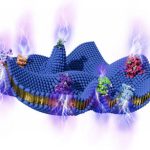 Ανακαλύψτε την Άγνωστη Πηγή Δύναμης που Κρύβεται στα Κύτταρά μας!