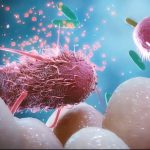 «Σοκάρουσα Μελέτη: Κοινές Χημικές Ουσίες Καταστρέφουν τα Ωφέλιμα Βακτήρια του Εντέρου!»