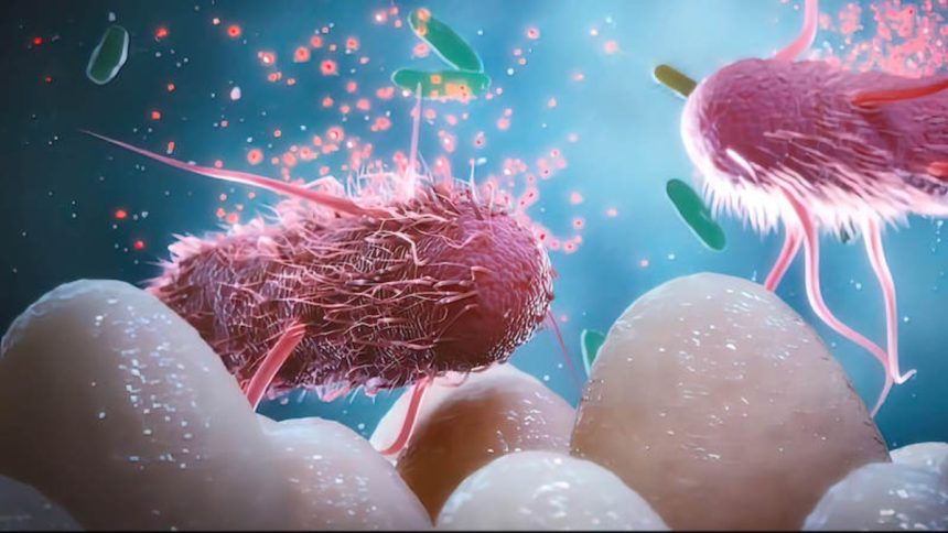 «Σοκάρουσα Μελέτη: Κοινές Χημικές Ουσίες Καταστρέφουν τα Ωφέλιμα Βακτήρια του Εντέρου!»