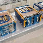 «Απίστευτο: Ποντίκι που επέστρεψε από το Διάστημα έφερε στον κόσμο υγιή μωρά!»