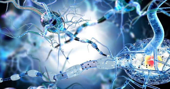 «Η AI Αποκάλυψε Δύο «Κρυφούς» Βιολογικούς Τύπους που Μπορούν να Αλλάξουν τα Πάντα!»