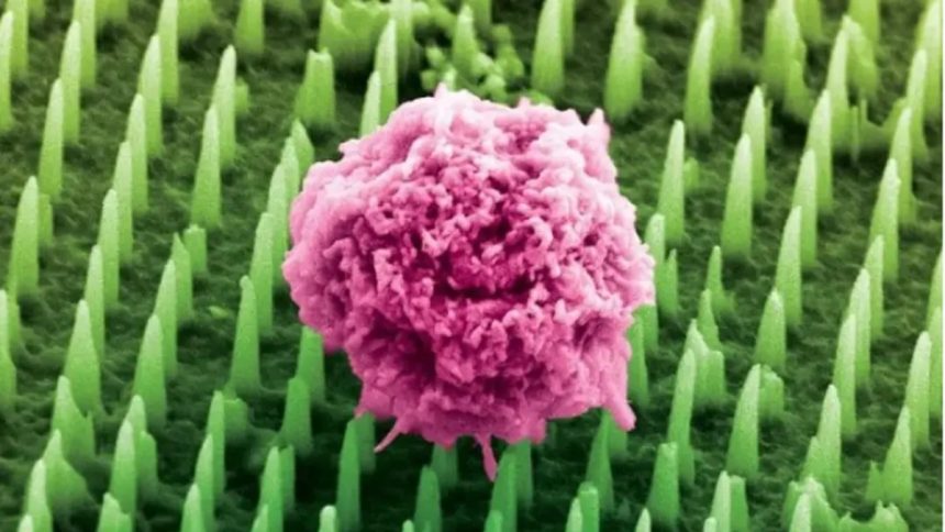 Ιατρική Επαναστατική Πρόοδος 2025: Ελπίδα Ξημερώνει για Ασθενείς με Σπάνιες Νόσους!