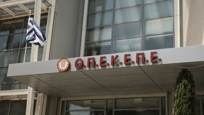 Σοκ στον Χώρο της Ελεγκτικής: Παραίτηση ΕΛΕΓΕΠ-ΟΠΕΚΕΠΕ! Ποιες είναι οι αποκαλυπτικές δηλώσεις της ΑΑΔΕ;