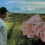 «Αγρότες: Νέα χρονιά, τα ίδια παλιά αδιέξοδα – Πώς θα αντιμετωπίσουν το μεγάλο «στοίχημα»;»