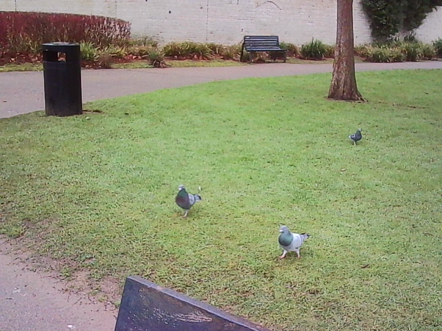 Μια φωτογραφία τραβηγμένη σε μια κάμερα με μπρελόκ της Kodak Charmera