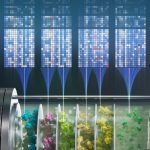 «Ανακαλύψτε πώς το Stanford μετατρέπει το διοξείδιο του άνθρακα σε «πράσινο χρυσό» και αλλάζει τον κόσμο!»