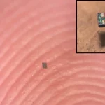 Απίστευτο! Ρομπότ μικρότερα από κόκκο αλατιού αυτονομούνται και παίρνουν αποφάσεις! Πώς είναι δυνατόν;