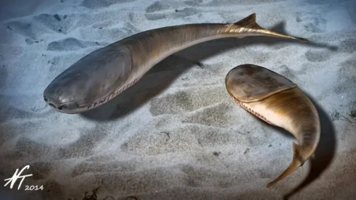 Ο μαζικός θάνατος άνοιξε το δρόμο για την Εποχή των Ψαριών