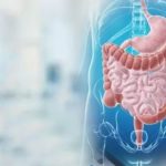 Ανακαλύψτε τον Μυστικό Άξονα Εντέρου - Εγκεφάλου: Επικοινωνία και Επαναστατικές Θεραπείες!