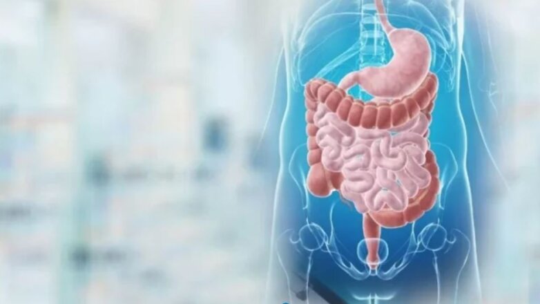 Ανακαλύψτε τον Μυστικό Άξονα Εντέρου - Εγκεφάλου: Επικοινωνία και Επαναστατικές Θεραπείες!