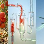 Ανακαλύψτε Πώς τα Αγροτικά Απόβλητα Γίνονται το Νέο Καύσιμο για Τα Αεροπλάνα!