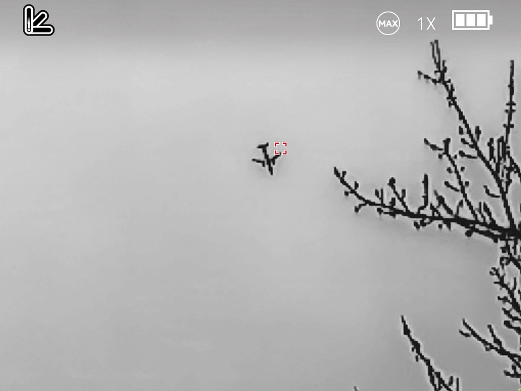 Δείγμα Mileseey Optics TNV10 Pro.