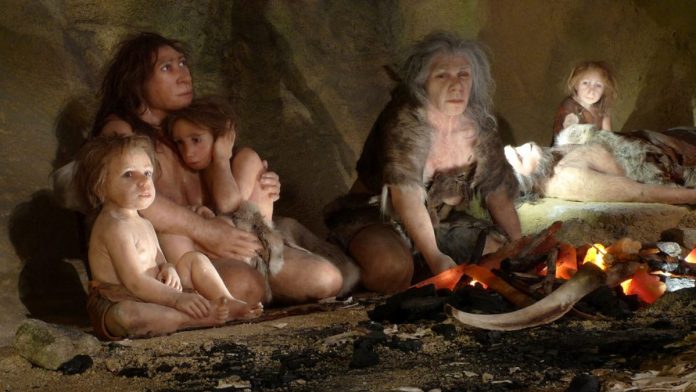 Μελέτη της σεξουαλικότητας Νεάντερταλ και Homo Sapiens Μελέτη της σεξουαλικότητας Νεάντερταλ και Homo Sapiens