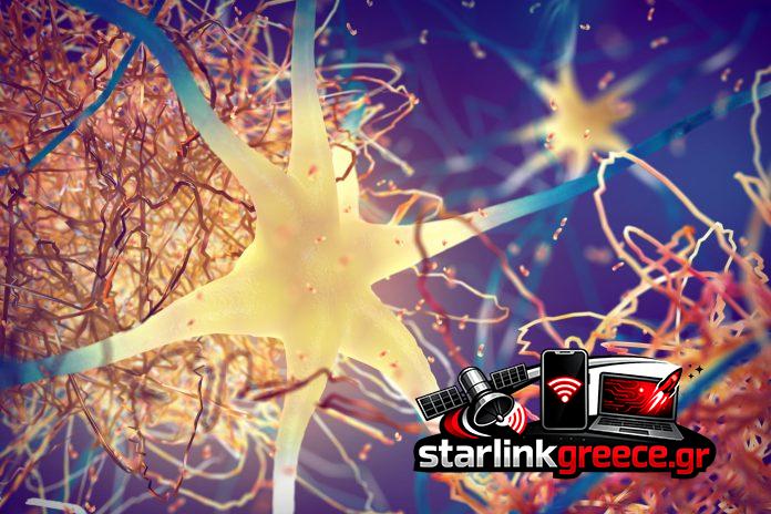 Ανακάλυψη: Πρωτεΐνη Alzheimer και η σημασία της στην κυτταρική διαίρεση