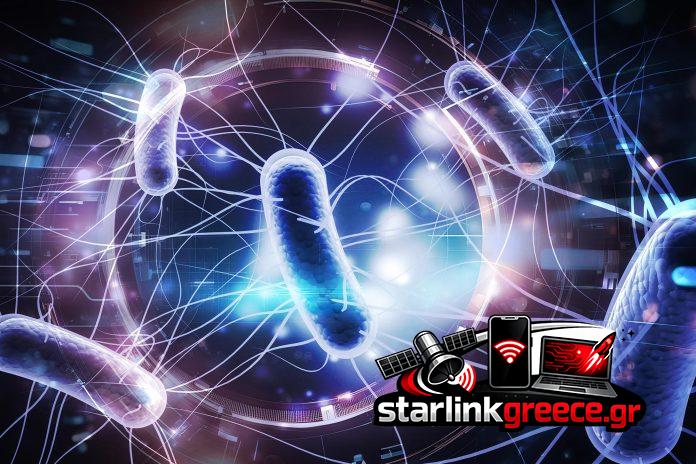 Φυσικά βακτήρια: Μοναδική δόση εξοντώνει όγκους σε ποντίκια!