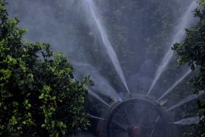 Φυτοφάρμακα: Νέα έρευνα αποκαλύπτει κίνδυνο καρκίνου!